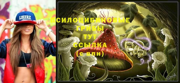 гашик Бронницы