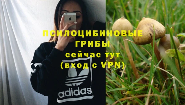 гашик Бугульма