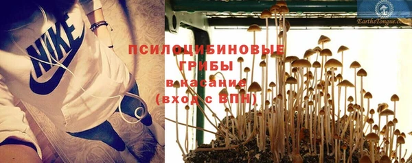 гашик Бронницы