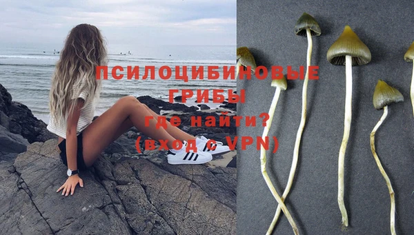 гашик Бронницы
